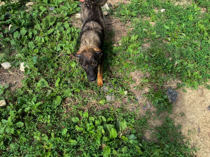 WELLA - rundum PERFEKT WELLA - rundum PERFEKT