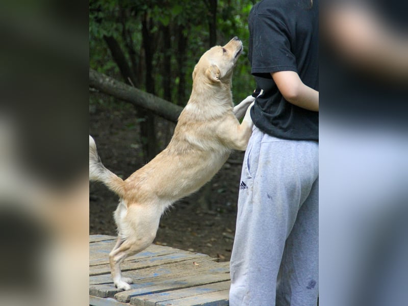 INESSA liebt die Nähe der Menschen sehr