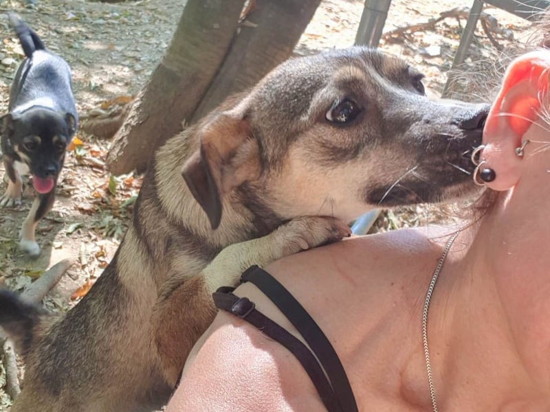 Neugierig und verspielt - Zaubermaus CAROLINA möchte dich um den Finger wickeln