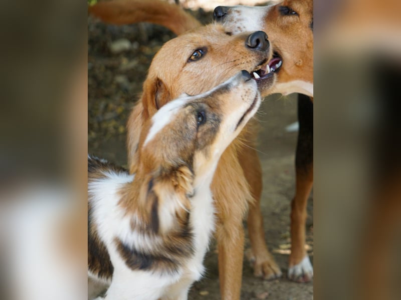 Charmante LIANE will mit DIR die Welt erkunden