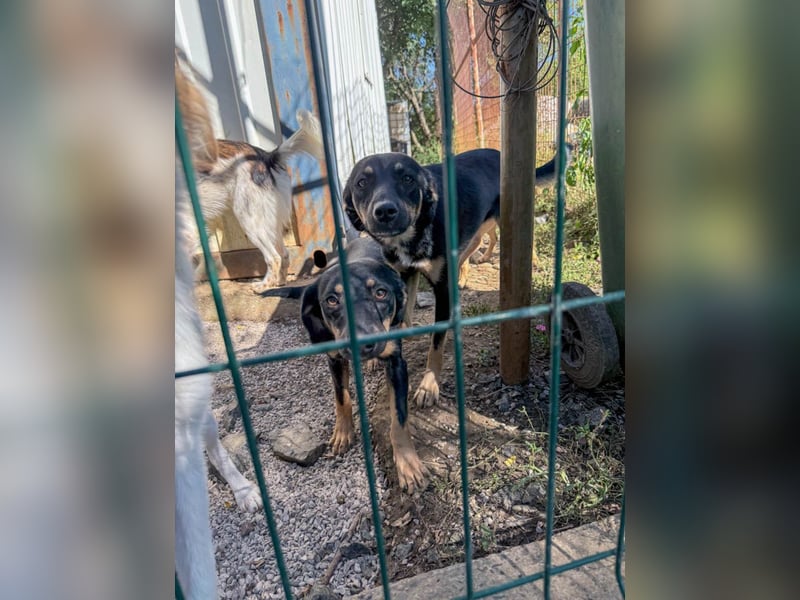 ruhige SMILLA möchte Weltentdeckerin werden wenn sie groß ist ;-)