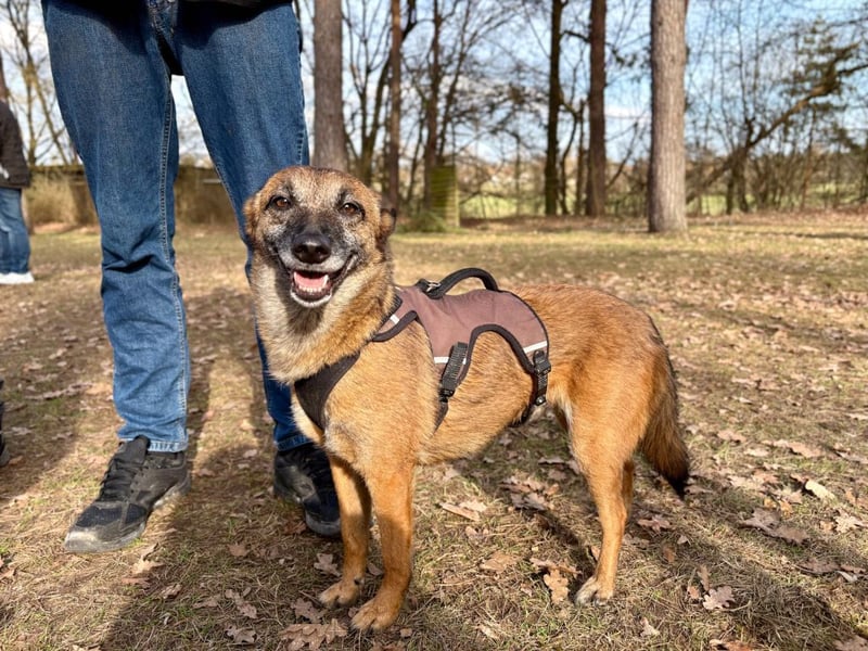 bezaubernde NISHA wartet in 91052 Erlangen auf ihre Herzensmenschen !