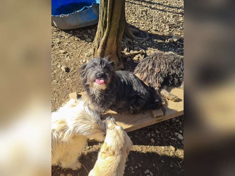 Freundlicher KAIRO möchte die Welt entdecken