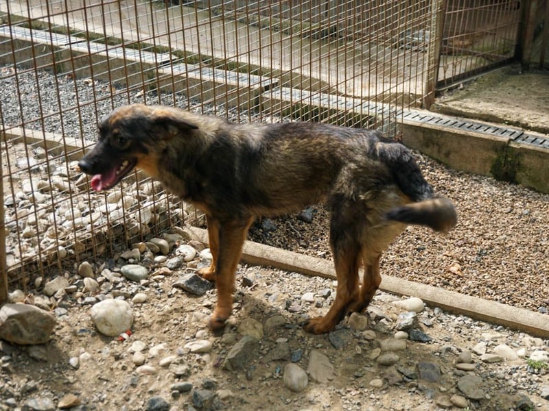 WELLA - rundum PERFEKT WELLA - rundum PERFEKT