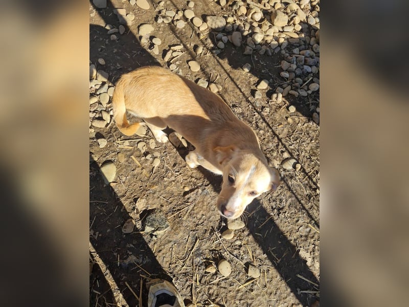 möchtest DU SASSY die Welt zeigen ?