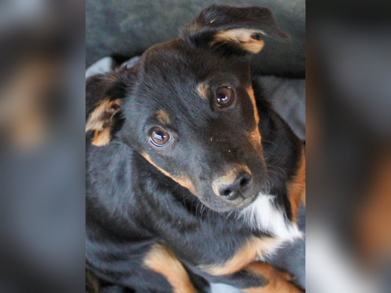 zauberhafte ROXANA möchte nach Hause reisen !