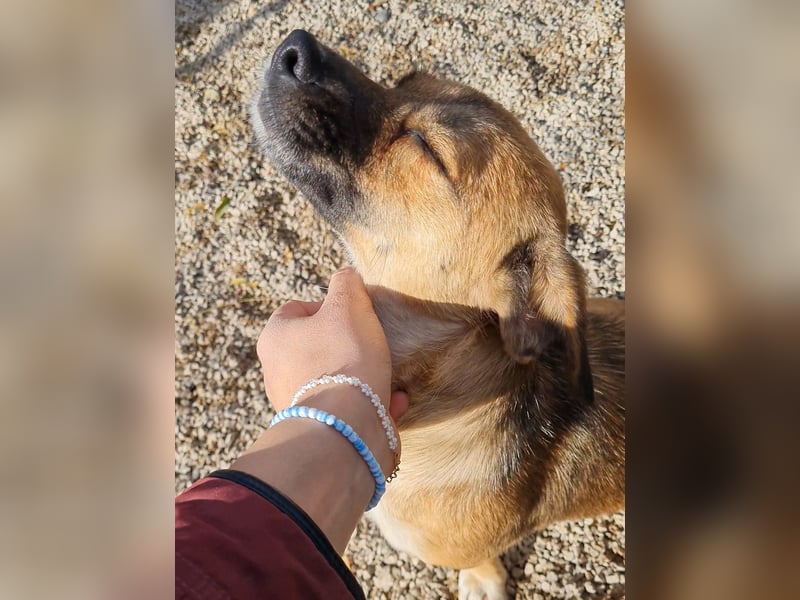 Charmante Millie bezaubert durch ihre lustige Art