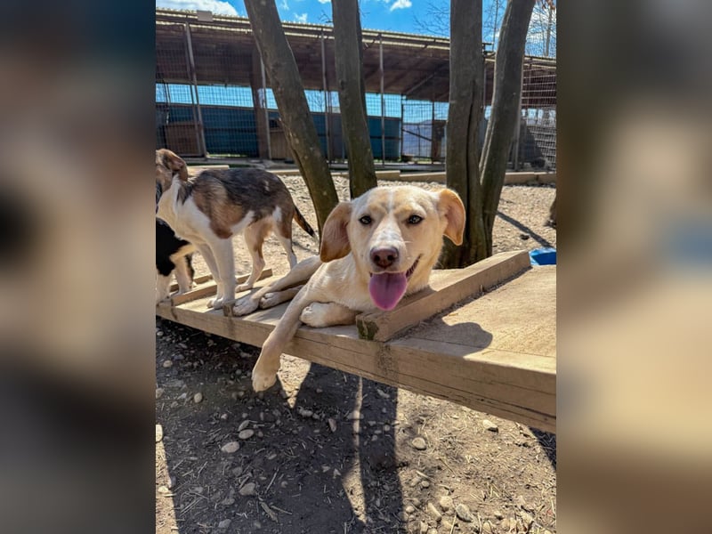 möchtest DU SASSY die Welt zeigen ?