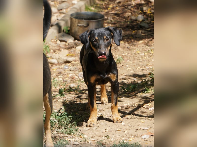 ruhige SMILLA möchte Weltentdeckerin werden wenn sie groß ist ;-)