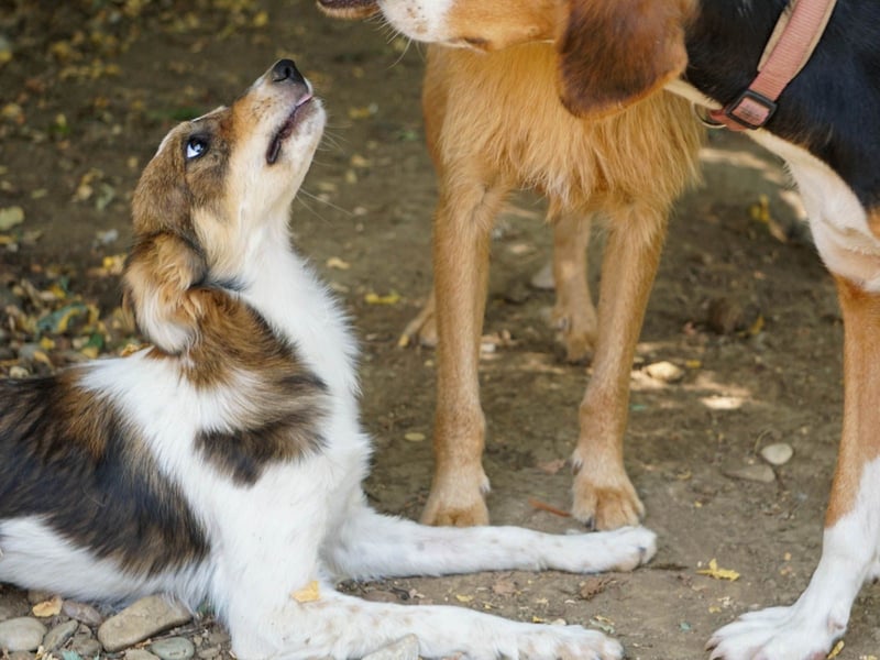Charmante LIANE will mit DIR die Welt erkunden