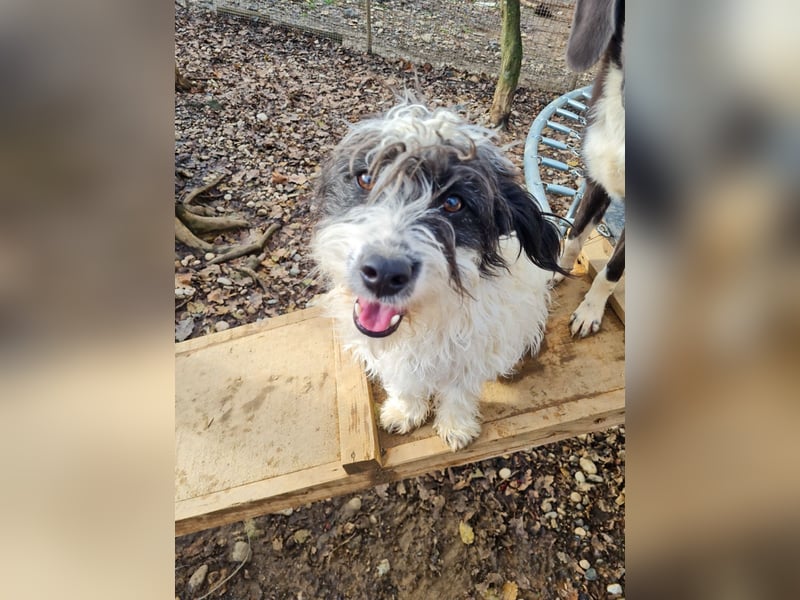 Süßer KELVIN - wer löst sein Ticket ins Glück?