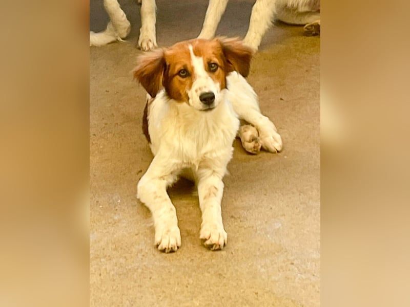 Zuckersüßer FRIEDRICH wartet auf Dich