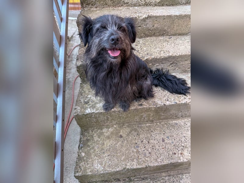 RAMONA wünscht sich ein sicheres Zuhause, indem sie endlich ankommen kann