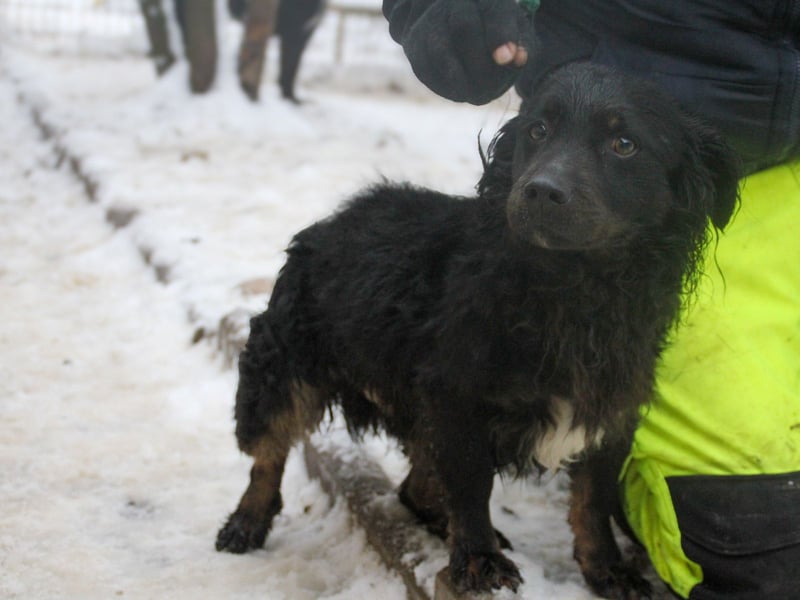 Sonnenschein RALF - wer löst sein Ticket ins Glück