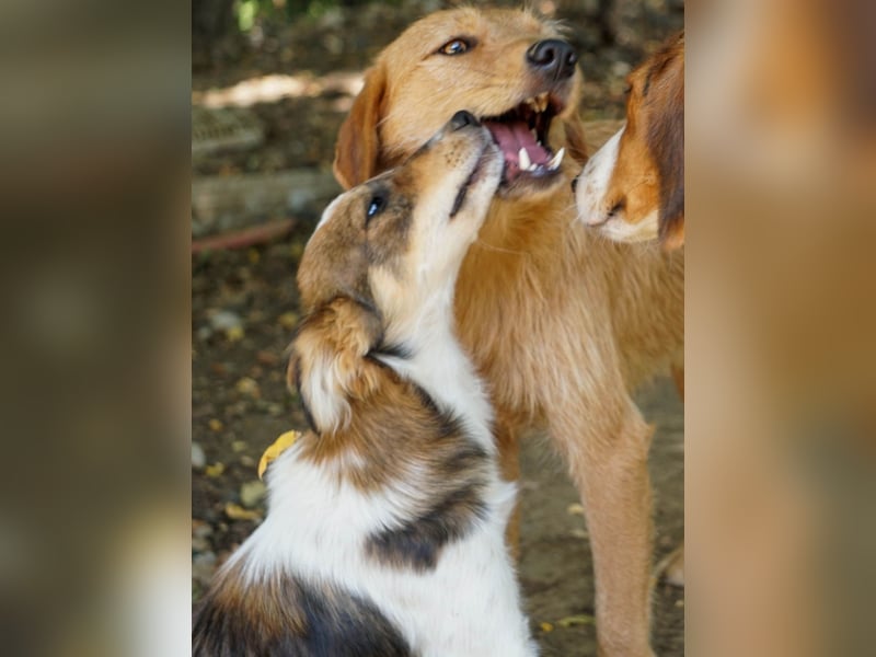 Charmante LIANE will mit DIR die Welt erkunden