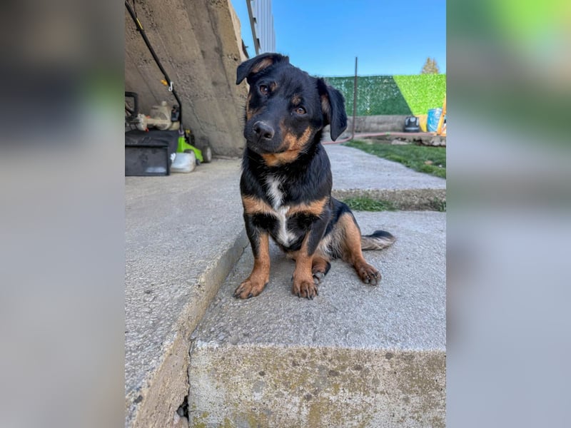 hübsch, hübscher, ROXANA