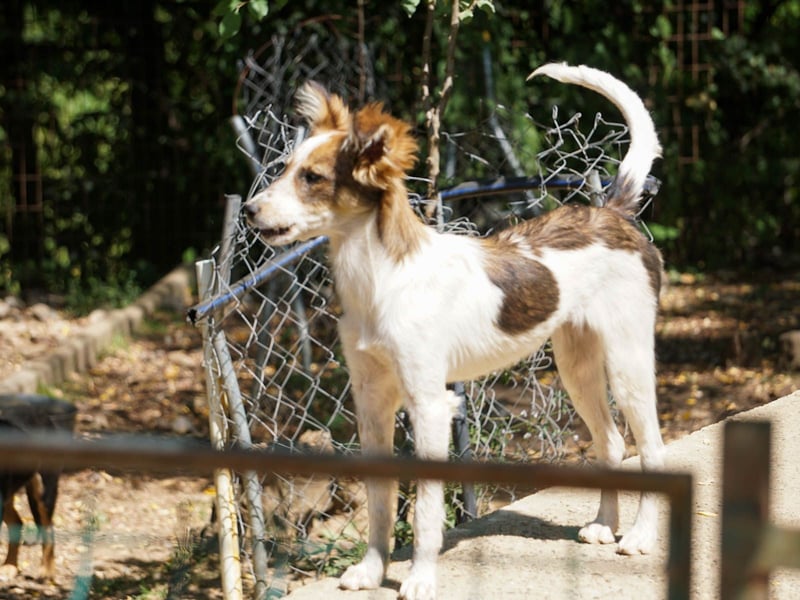 Charmante LIANE will mit DIR die Welt erkunden