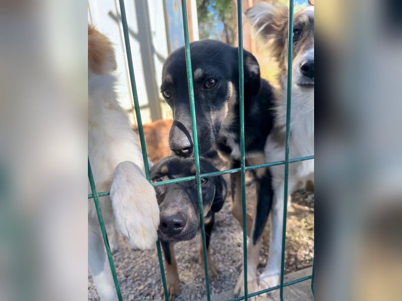 ruhige SMILLA möchte Weltentdeckerin werden wenn sie groß ist ;-)