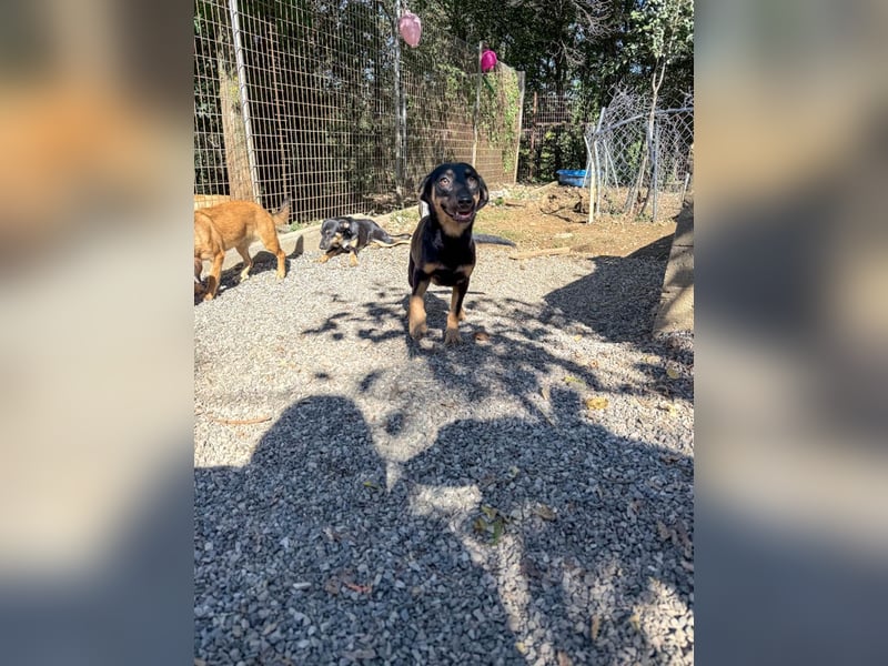 ruhige SMILLA möchte Weltentdeckerin werden wenn sie groß ist ;-)