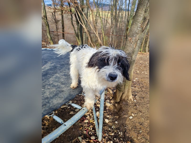 Süßer KELVIN - wer löst sein Ticket ins Glück?