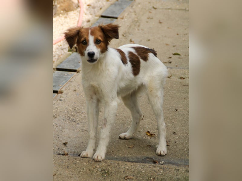 Zuckersüßer FRIEDRICH wartet auf Dich