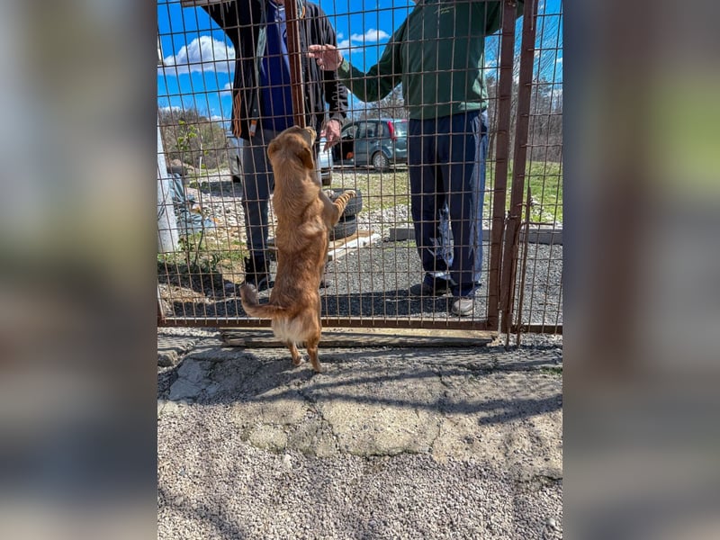 Kuschelfee SENA sucht Kuschelmenschen zum lieb haben