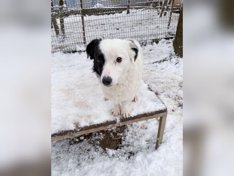 PUPIN einzigartig, lebensfroh - einfach PERFEKT !