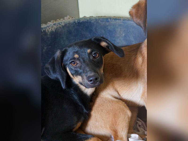 ruhige SMILLA möchte Weltentdeckerin werden wenn sie groß ist ;-)