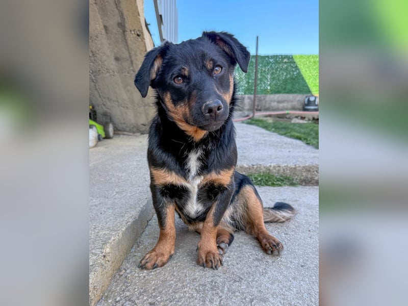 hübsch, hübscher, ROXANA