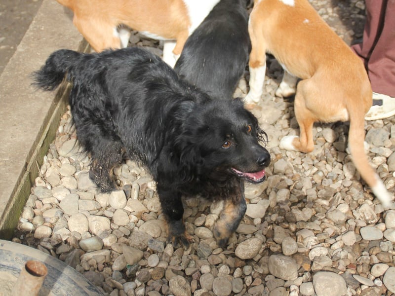 RALF er trägt die Sonne im Herzen !