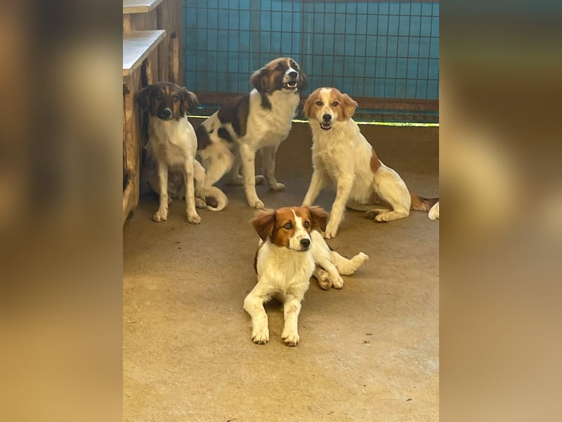 Zuckersüßer FRIEDRICH wartet auf Dich