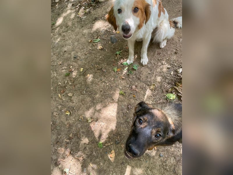 WELLA - rundum PERFEKT WELLA - rundum PERFEKT