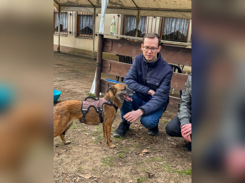 bezaubernde NISHA wartet in 91052 Erlangen auf ihre Herzensmenschen !