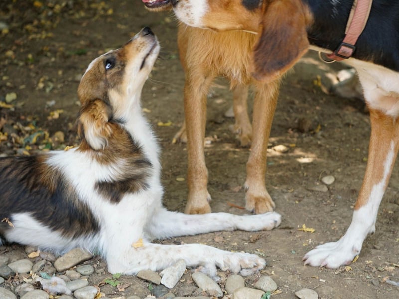 Charmante LIANE will mit DIR die Welt erkunden