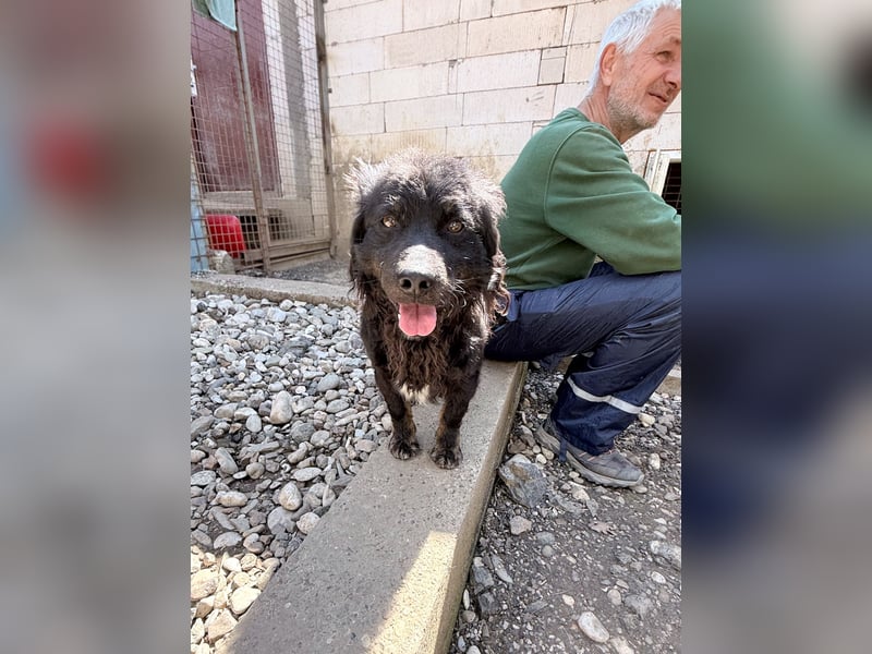 Sonnenschein RALF - wer löst sein Ticket ins Glück