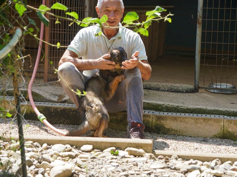 supersüße WELLA sucht nach DIR