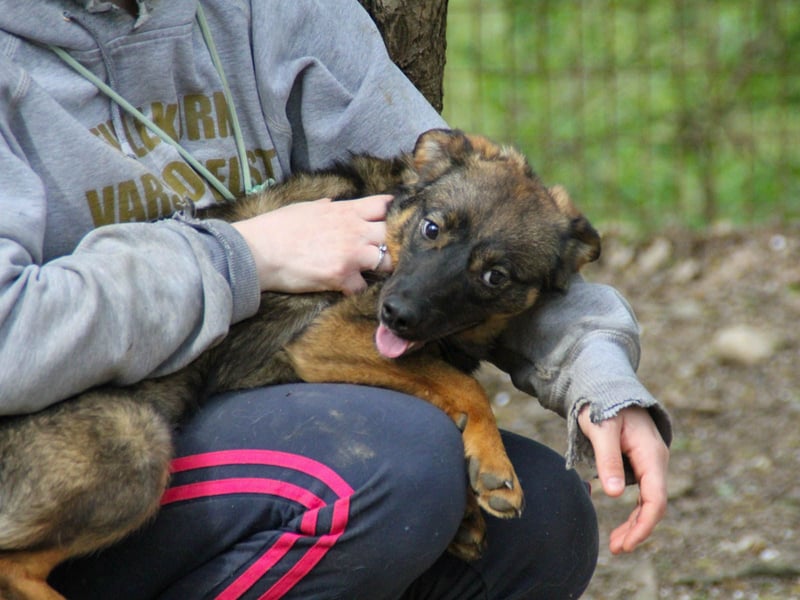 WELLA - rundum PERFEKT WELLA - rundum PERFEKT