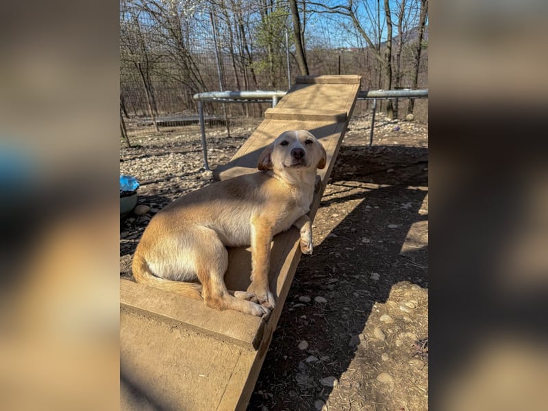 möchtest DU SASSY die Welt zeigen ?