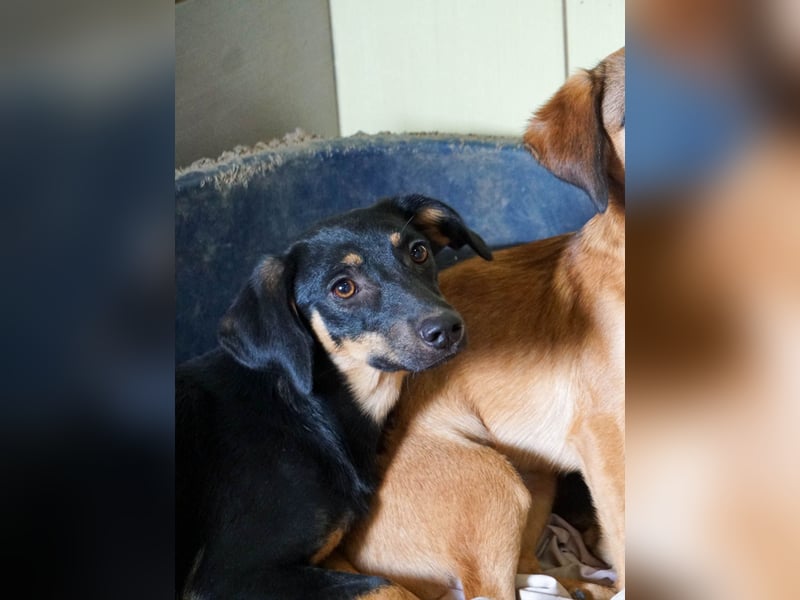 ruhige SMILLA möchte Weltentdeckerin werden wenn sie groß ist ;-)