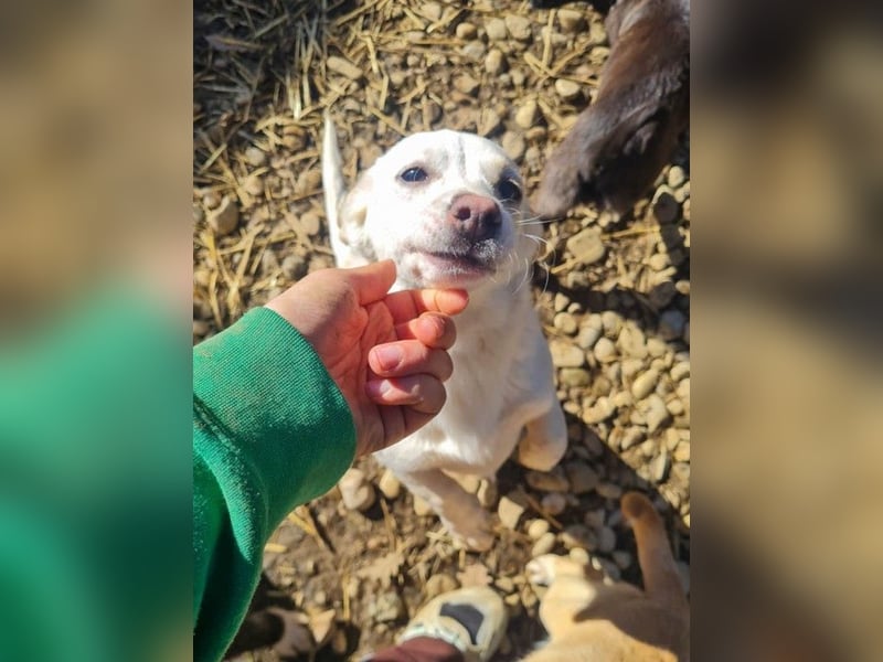 möchtest DU SASSY die Welt zeigen ?