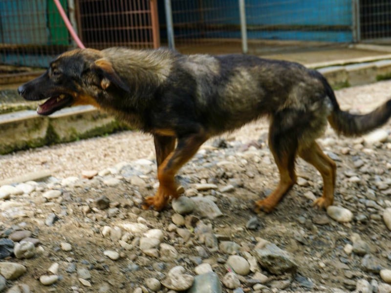 WELLA - rundum PERFEKT WELLA - rundum PERFEKT