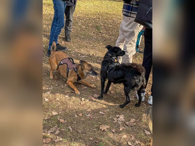 bezaubernde NISHA wartet in 91052 Erlangen auf ihre Herzensmenschen !