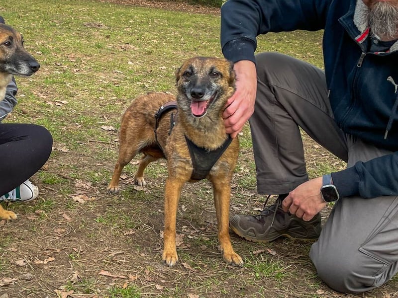bezaubernde NISHA wartet in 91052 Erlangen auf ihre Herzensmenschen !