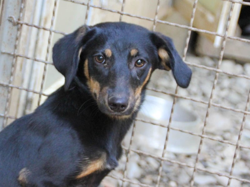 ruhige SMILLA möchte Weltentdeckerin werden wenn sie groß ist ;-)