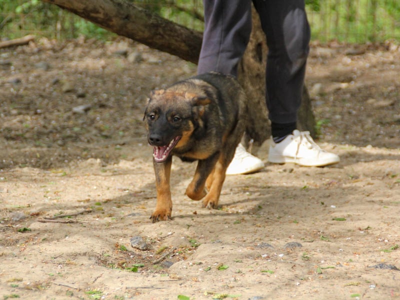 WELLA - rundum PERFEKT WELLA - rundum PERFEKT