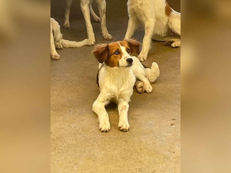 Zuckersüßer FRIEDRICH wartet auf Dich