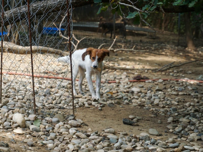 Zuckersüßer FRIEDRICH wartet auf Dich