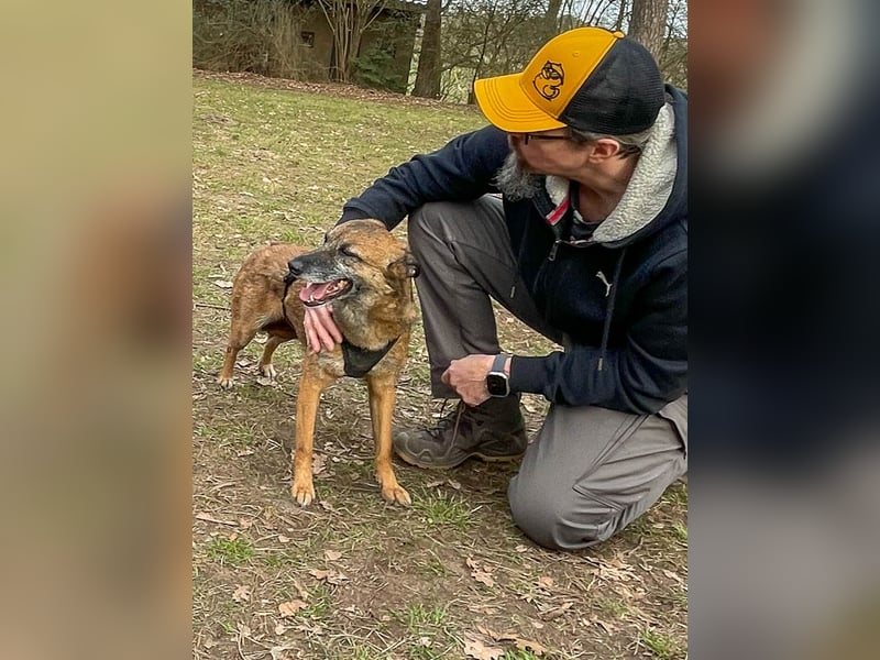 bezaubernde NISHA wartet in 91052 Erlangen auf ihre Herzensmenschen !