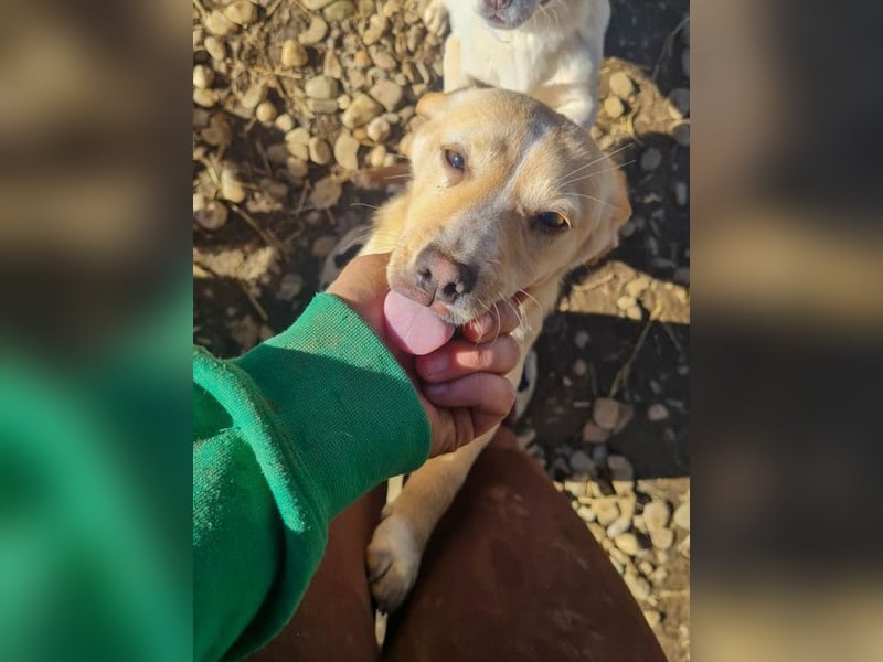 möchtest DU SASSY die Welt zeigen ?