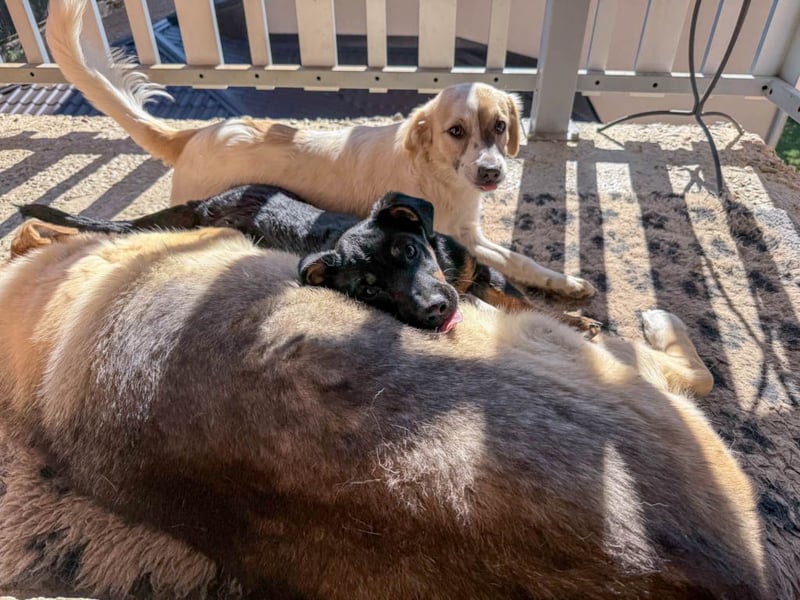 hübsch, hübscher, ROXANA